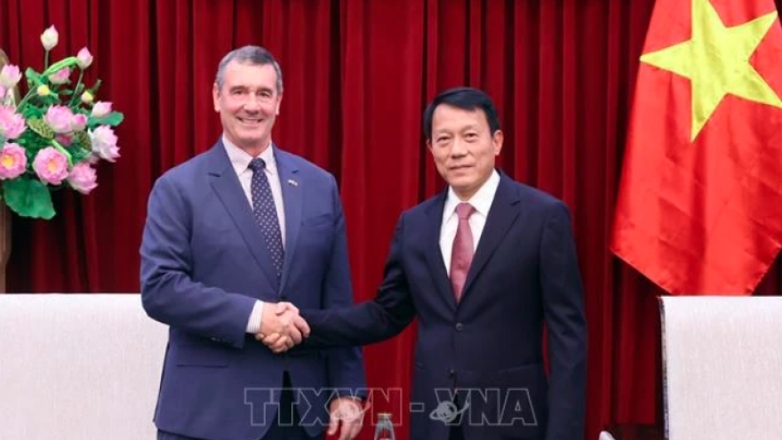 Vietnam, US boost aviation security cooperation